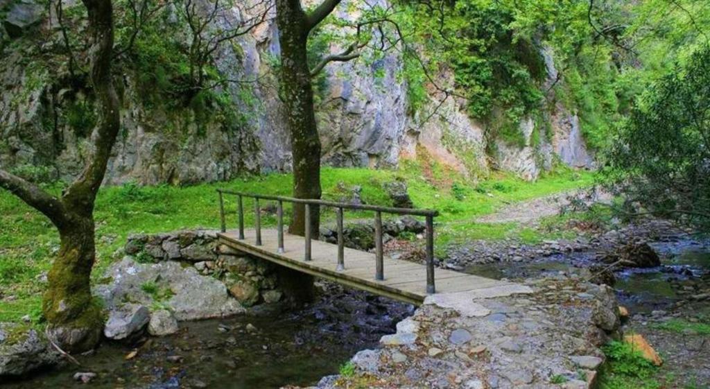 Apartament Porofarago Epanokhórion Zewnętrze zdjęcie